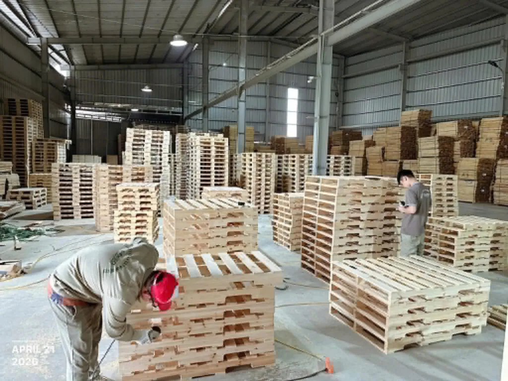 Xưởng sản xuất pallet gỗ DEKSO tại Hưng Yên